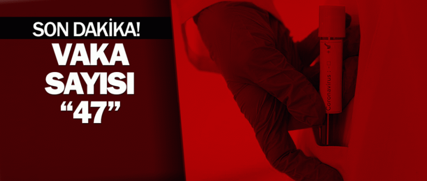 Türkiye'deki koronavirüs vaka sayısı 47'ye yükseldi