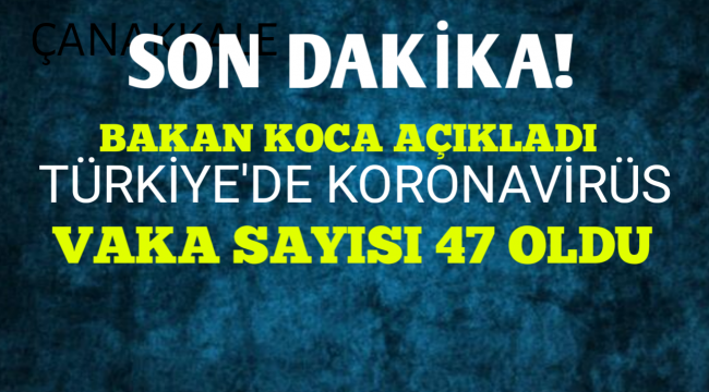 Türkiye'deki koronavirüs vaka sayısı 47'ye yükseldi