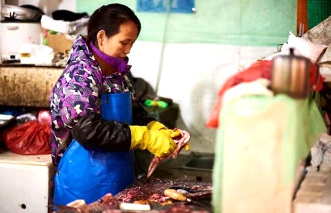 köpek eti satan restoranın sahibinden kan donduran itirafları