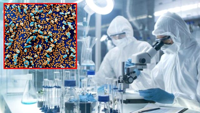 koronavirusun-vucuda-nasil-yayildigi-ilk-kez-13096674_2552_o