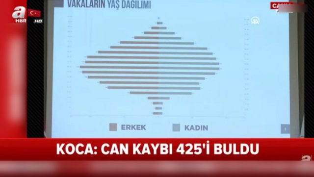 Hayatını kaybedenlerin yüzde 78,7'sini 60 yaş üstü vatandaşlar oluşturuyor