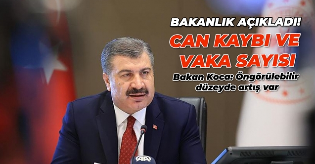 23 Mayıs korona tablosu