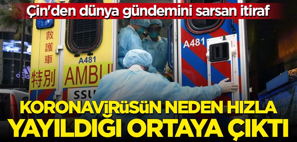 ezgif.com-webp-to-jpg (1)