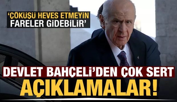 ezgif.com-webp-to-jpg (3)