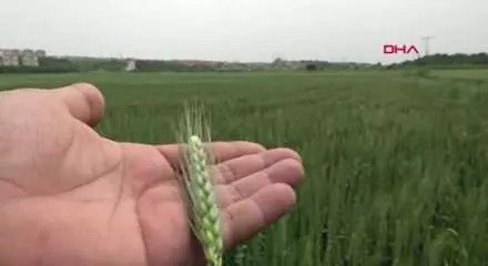 Koronavirüs bize kendimize yetmemiz gerektiğini öğretti