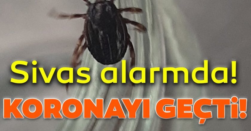  hasta sayısı 100'e ulaştı!