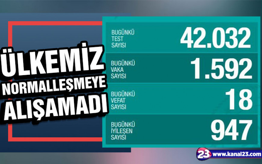 1592244003-normallesmye-alisamadi