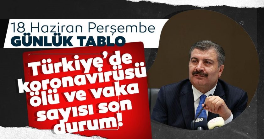 18 Haziran korona tablosu