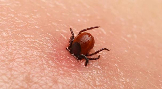  hasta sayısı 100'e ulaştı!