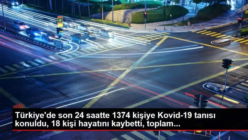 29 Haziran korona tablosu