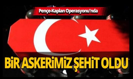 Pençe Kaplan Operasyonu