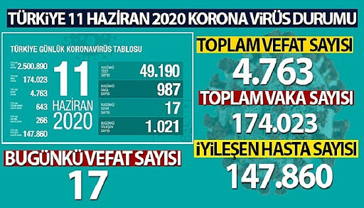 11 Haziran Korona Tablosu