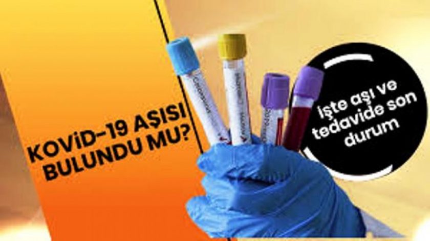 Koronavirüs Aşısını İlk Kez Hayvanlar Üzerinde Denedik Olumlu Sonuç Aldık