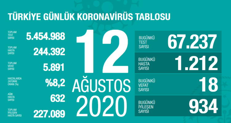 13 Ağustos korona tablosu