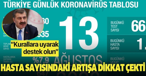 13 Ağustos korona tablosu