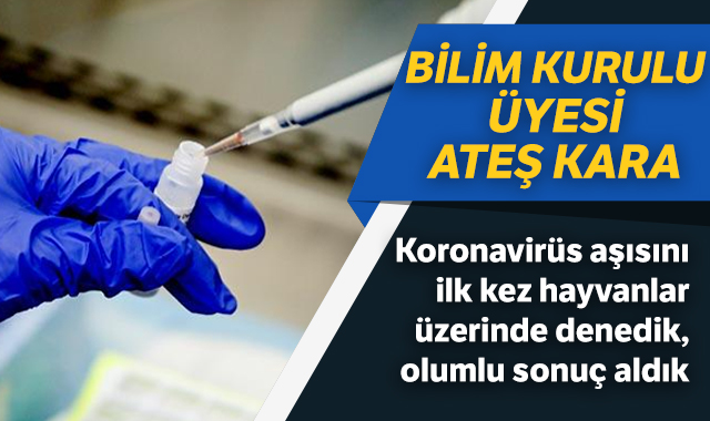 Koronavirüs Aşısını İlk Kez Hayvanlar Üzerinde Denedik Olumlu Sonuç Aldık