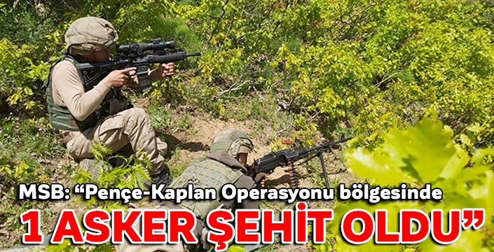 Pençe Kaplan Operasyonu