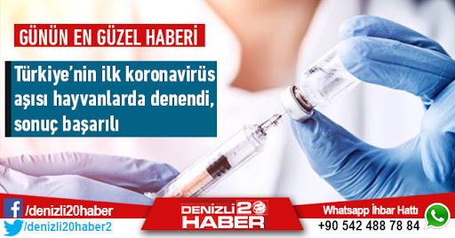 Koronavirüs Aşısını İlk Kez Hayvanlar Üzerinde Denedik Olumlu Sonuç Aldık