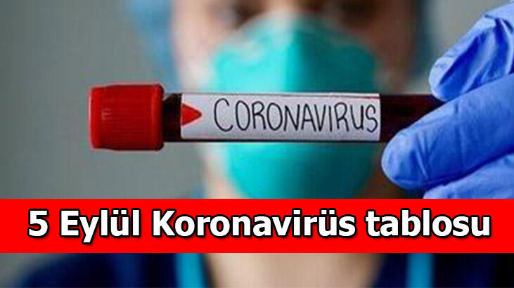 5f53a6e755428011c8c699ea