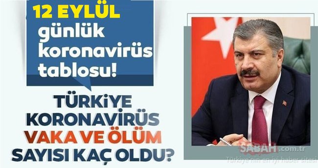 650x344-son-dakika-haberi-turkiyede-corona-virus-vaka-ve-olu-sayisi-kac-oldu-12-eylul-saglik-bakanligi-turkiye-corona-virusu-gunluk-son-durum-tablosu-1599922756898