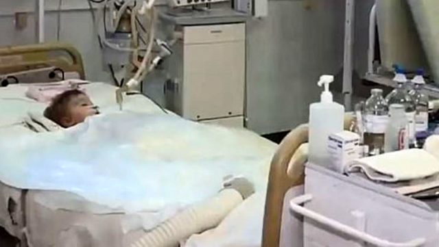 Babaanne Dizi İzlemeye Daldı,Torunu Kaybetti