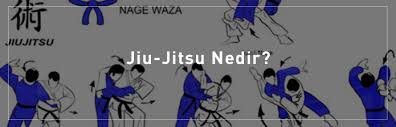 Wushu Nedir Nasıl Yapılır Kuralları Nelerdir