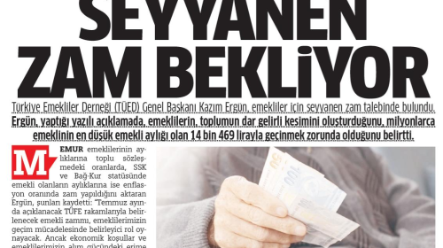 Emekliler ve Ekonomi: Artan Hayat Pahalılığı Emeklileri Nasıl Etkiliyor?