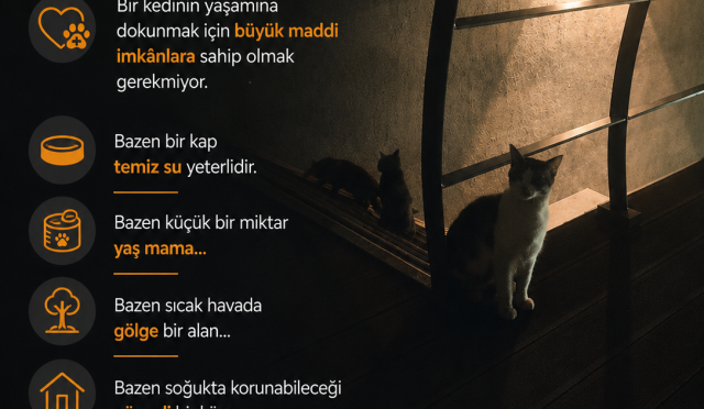 ChatGPT Image 19 Ağu 2026 18_51_31
