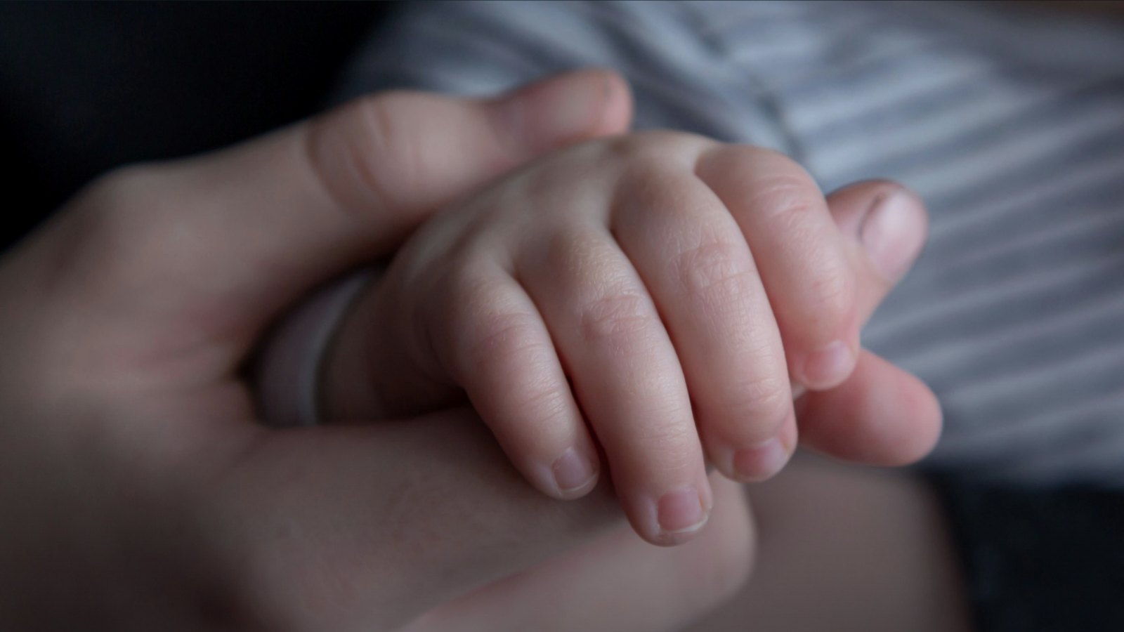 Malili Anne Dokuz Bebek Dünyaya Getirdi: Dünya Rekoru